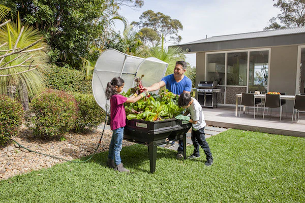  Gardening Hacks for Beginners