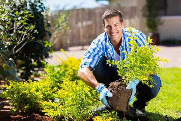 Organic Gardening at Home