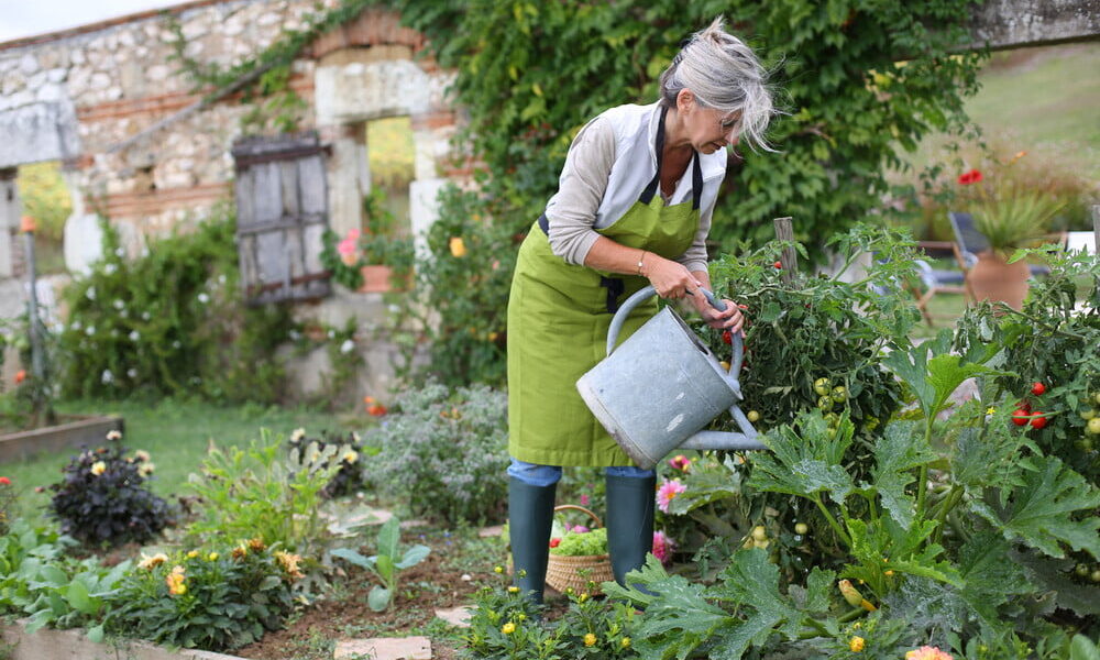 The Ultimate Guide to Organic Gardening at Home